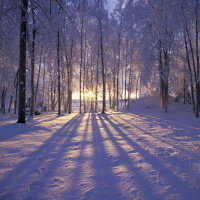 12/23/19 - Birthday of the Sun