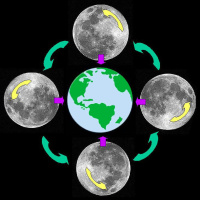 6/2/25 - Does The Moon Rotate?