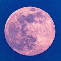 6/21/21 - The Rose Moon