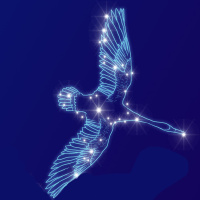 7/14/25 - Cygnus the Swan