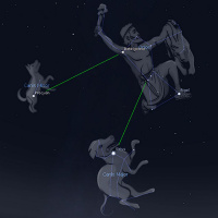 2/8/21 - The Two Dog Stars