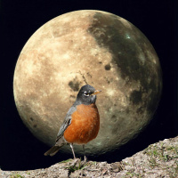 3/18/19 - Full Worm Moon