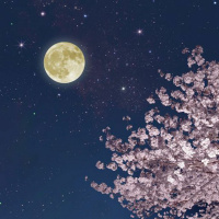 5/24/21 - Super Flower Blood Moon