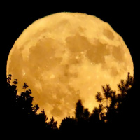 9/25/23 - A Super Harvest Moon