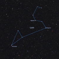 5/12/25 - Leo the Lion