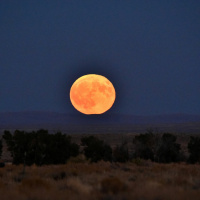 9/28/20 - The Harvest Moon