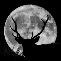 7/19/21 - Buck Moon Meets Giant Planets