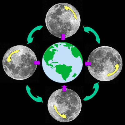 Q-90.1s Backyard Astronomer