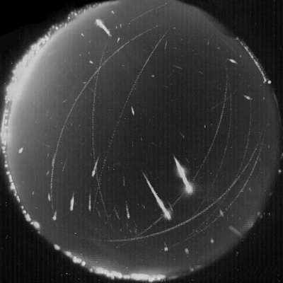 Q-90.1s Backyard Astronomer