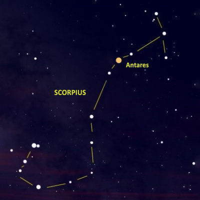 Q-90.1s Backyard Astronomer