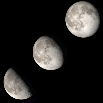 Q-90.1s Backyard Astronomer