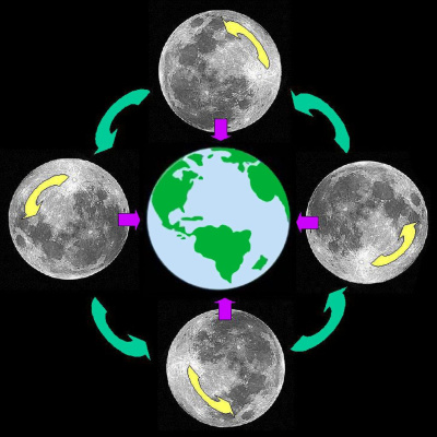 Q-90.1s Backyard Astronomer
