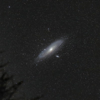 Q-90.1s Backyard Astronomer