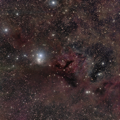 Q-90.1s Backyard Astronomer