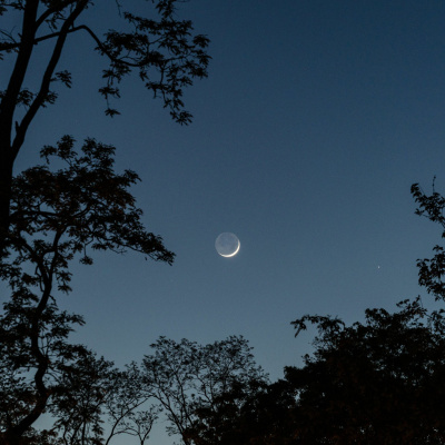 Q-90.1s Backyard Astronomer