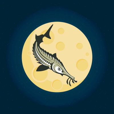 Q-90.1s Backyard Astronomer