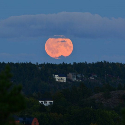 Q-90.1s Backyard Astronomer