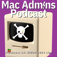 Flashcast 14: WWDC 2024 Live