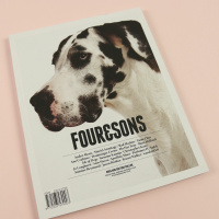 Art, dogs, and the beauty of surprise in Four  Sons magazine