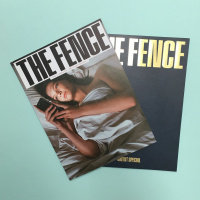 Reclaiming satire in The Fence magazine