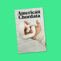 Taking over American Chordatas literary legacy