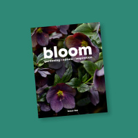 Discovering gardening with Bloom magazine