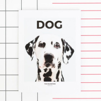 Episode 50: Julian Victoria and Emily Rogers, Dog magazine