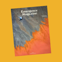 Immersed in Emergence