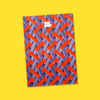 Bum magazines risograph experiment