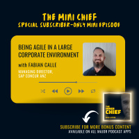 Mini Chief #315: Being agile in a large corporate with Managing Director of SAP Concur ANZ, Fabian Calle