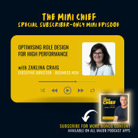 Mini Chief: Zaklina Craig, Chief People Officer of Business NSW, on optimising role design for high performance