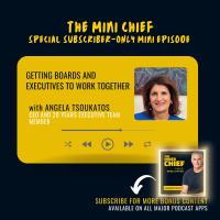 Mini Chief: Angela Tsoukatos, CEO and 20 years executive team member, on the most effective ways the Board and C-Suite can work together