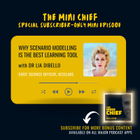 Mini Chief #318 - Why scenario modelling is the best accelerated learning tool, with Dr Lia DiBello Ph.D