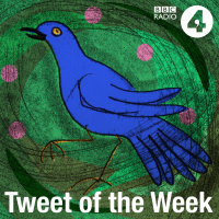 Rachel Unthanks Tweet of the Week