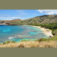 The pandemic was good for Hanauma Bay