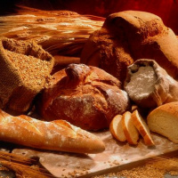 John 4.31 - 42 My Food - -Redeemer