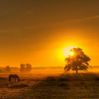 Acts 16.16 - 34 Eternal Purpose - -Redeemer