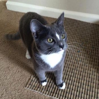 Stanford Woods Institute