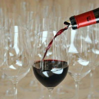 Gordon Shepherd, Neuroscientist at Yale - April 25th 2017