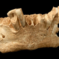 Karen Hardy - ICREA research professor at the Autonomous University of Barcelona - Dec. 19 2016