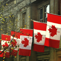 Shawn Zigelstein, Royal LePage