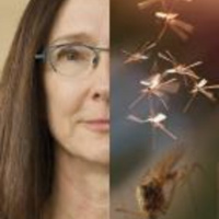 Dr. Fiona Hunter, Scientist at Brock University - August 23rd 2017