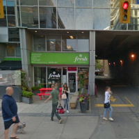 Len Goldberg, Comedian and animal activist - Thursday, January 12th 2017