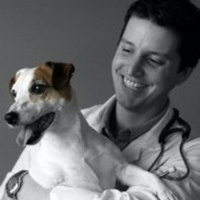 Dr. Ted Morris, Bloor Animal Hospital - August 21st 2017