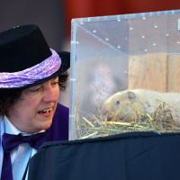 Wiarton Willie, Ontarios prognosticating groundhog, dies at 13