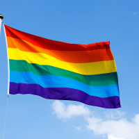 Gay Rights Lawyer Doug Elliott on Pride Parade Disruption - July 4, 2016