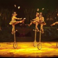 Cirque du Soleil - Francis Jalbert