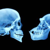 Anthropologist John Kappelman