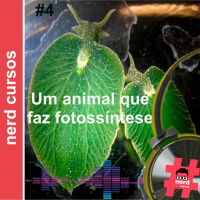#4 - Um animal que faz fotossíntese