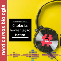 Revisão: Fermentação Láctica